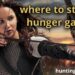 where to stream hunger games